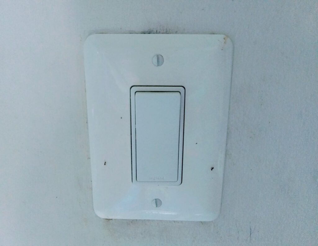 Ants living in the Electrical Outlet Box