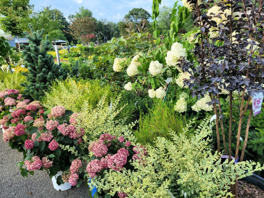 Merrifield Garden Center