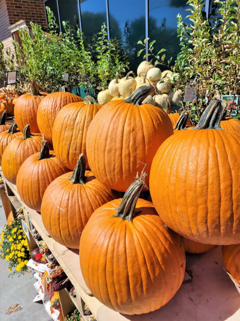 Autumn Display