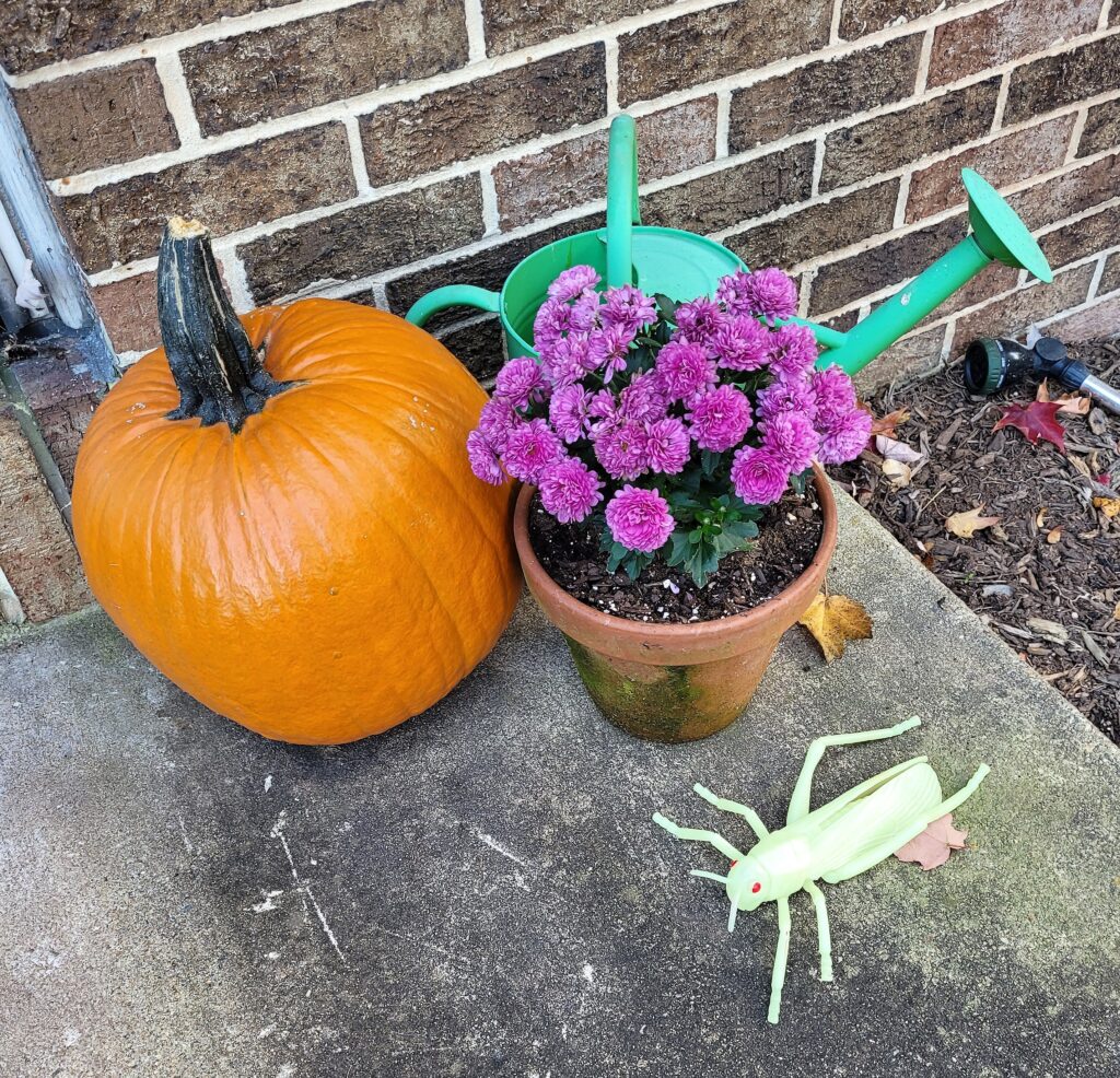 Halloween Decorations