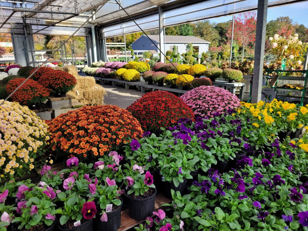 Merrifield Garden Center