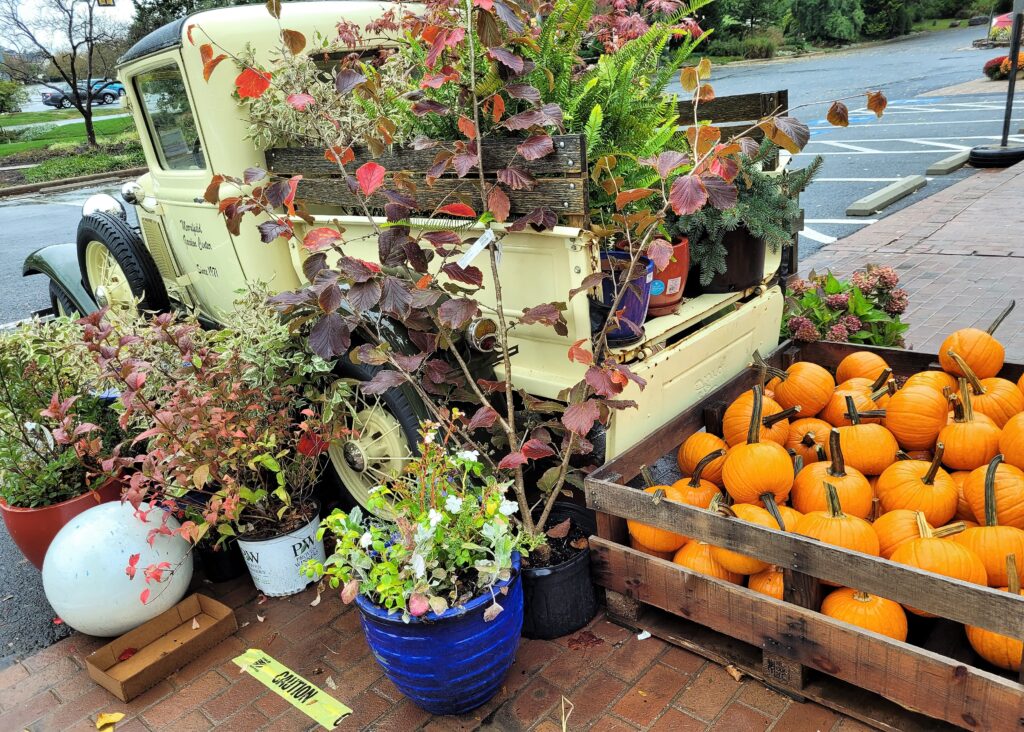 Merrifield Garden Center