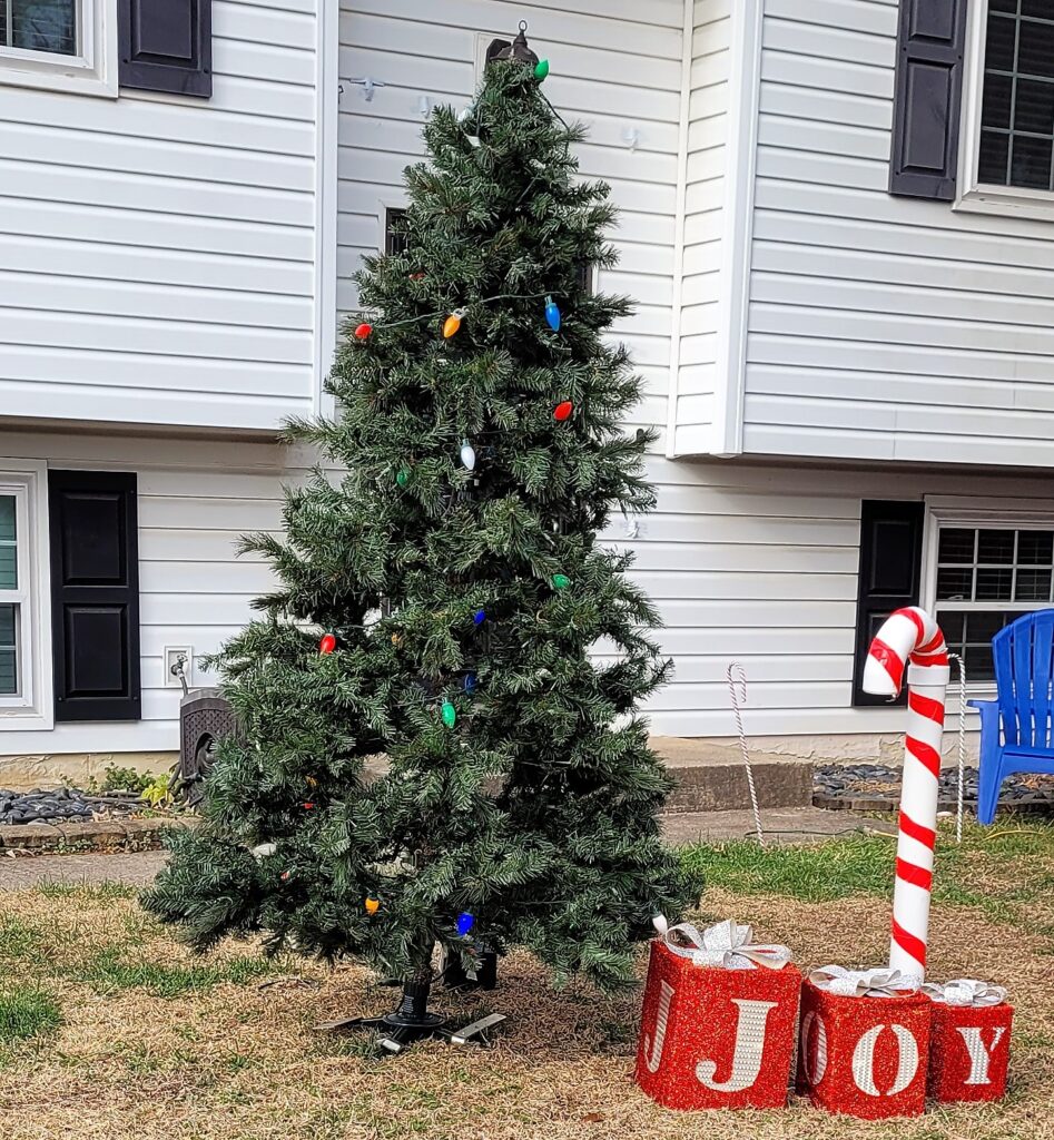 December Lawn Decorations