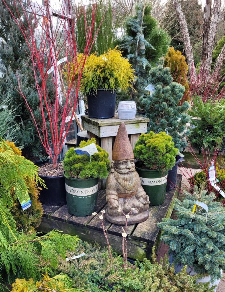 Merrifield Garden Center