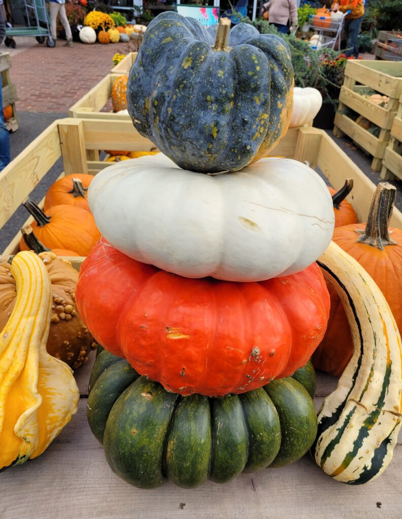 Colorful Autumn Displays