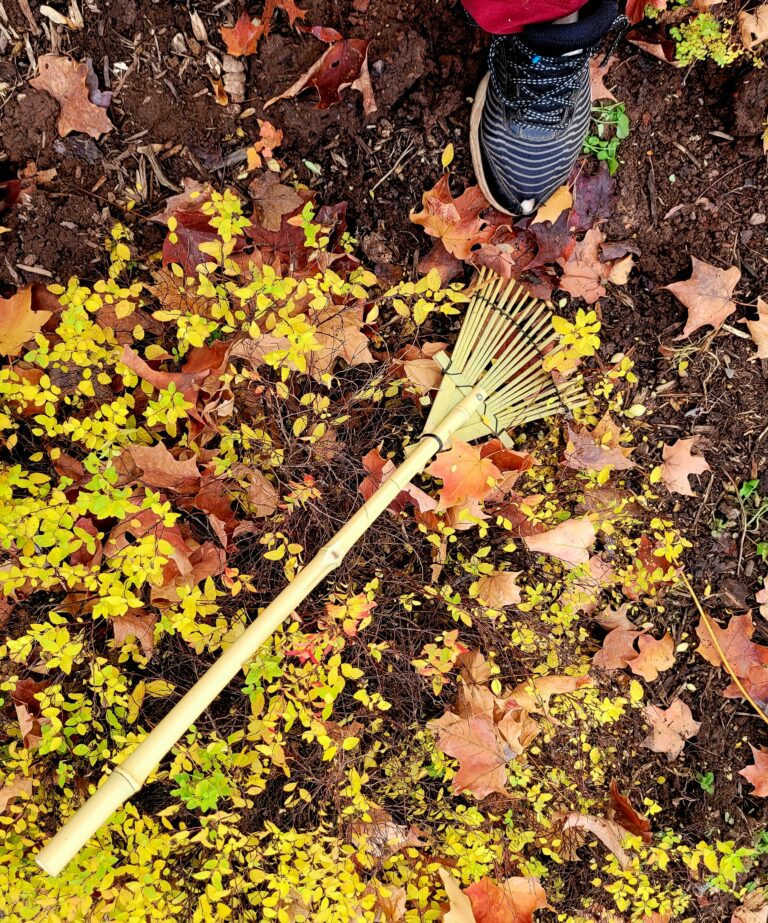 Shies Rake In The Mini Rake • Farmhouse Magic Blog