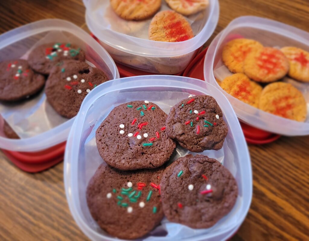 Easy Cranberry Cookies, Cookies Ready for the Freezer, 12-15-2023