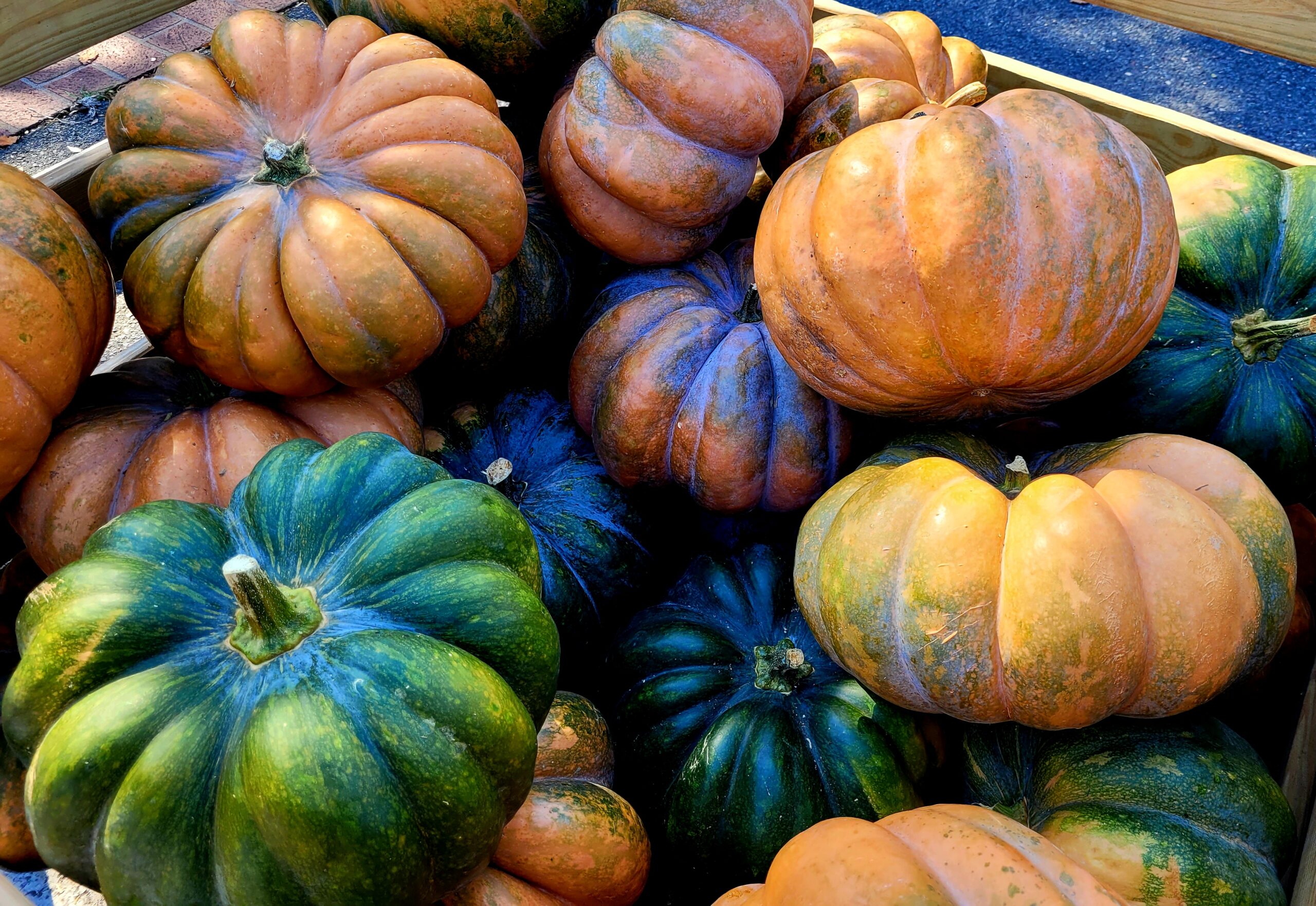 Pumpkin Color Choices • Farmhouse Magic Blog