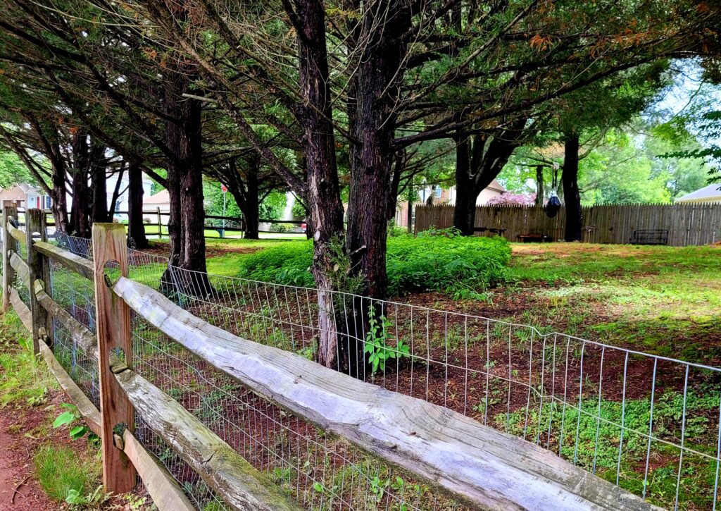 The Garden Contest