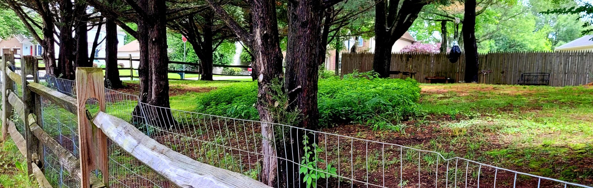 The Garden Contest