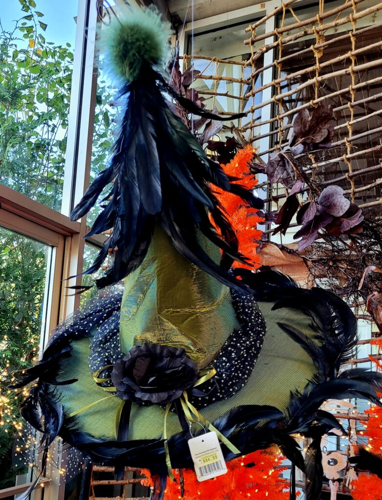 Halloween Hats and Costumes