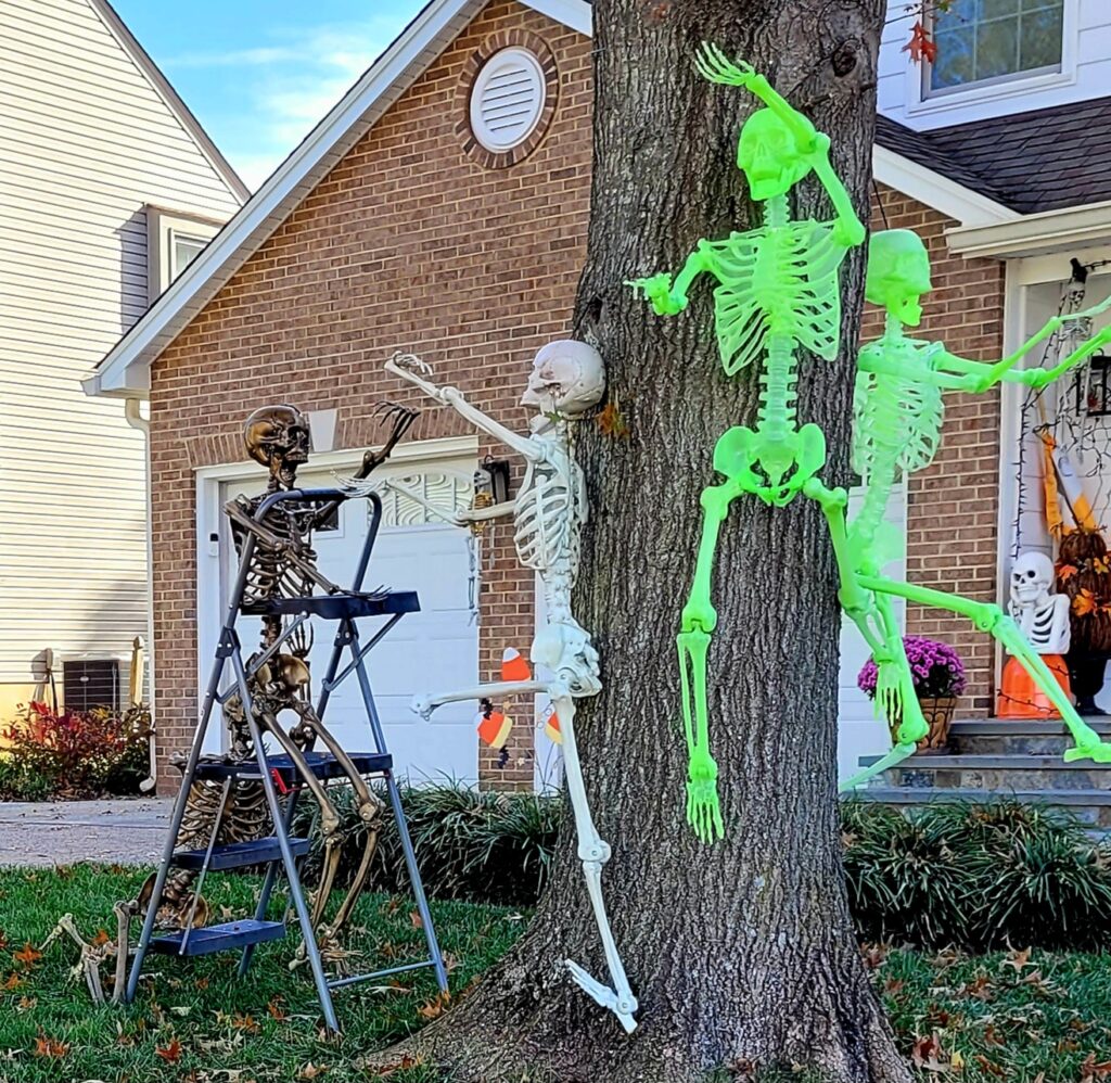 Halloween Outdoor Decorations