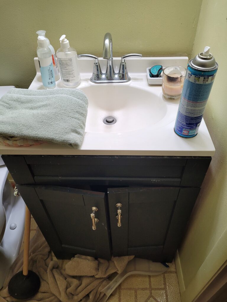 Bathroom Remodel