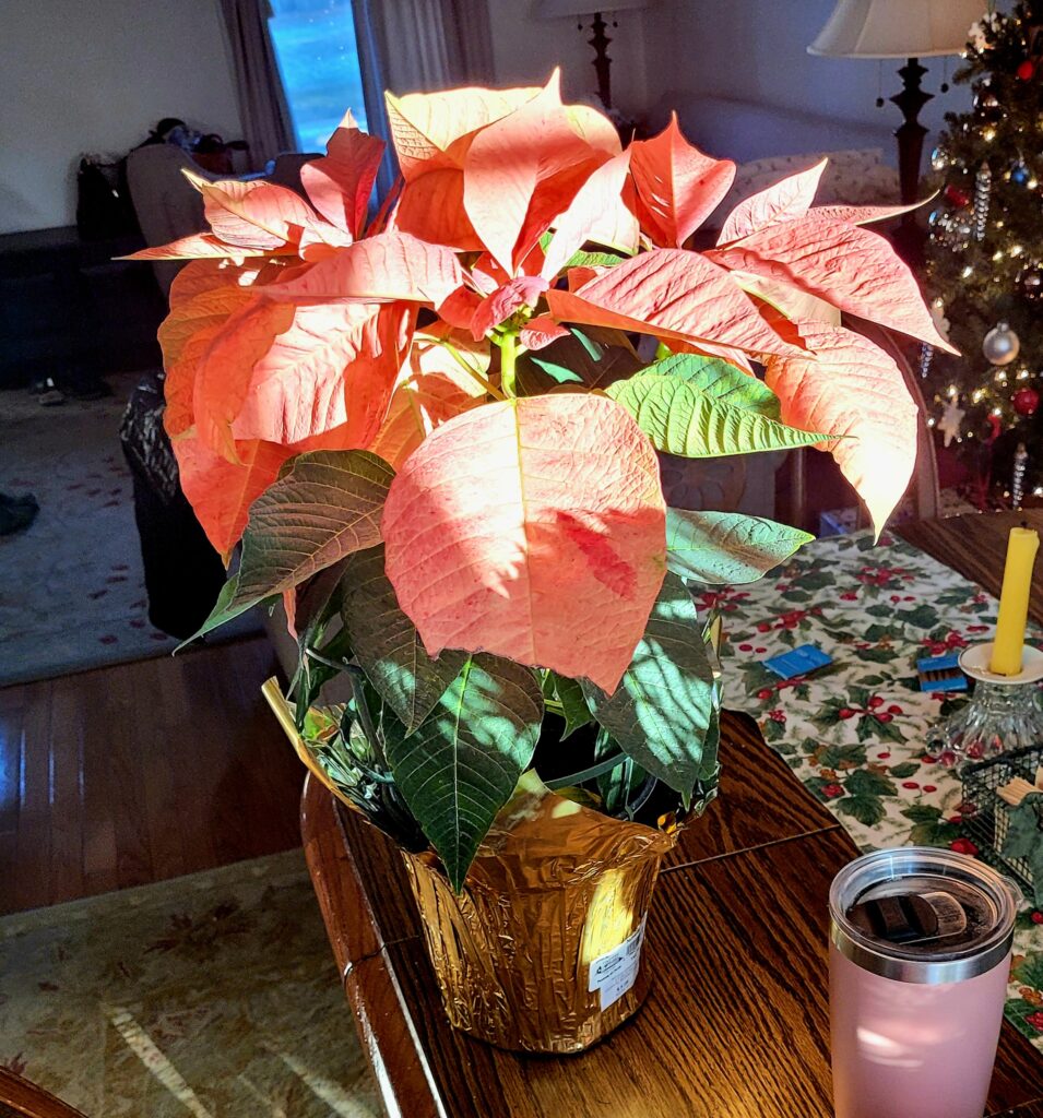 Defrosting Deep-Freeze