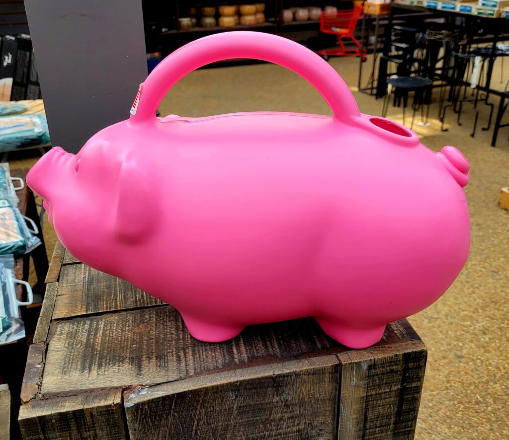 Seeds and More Seeds