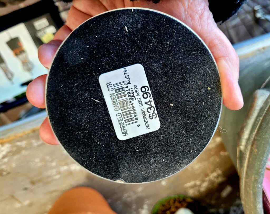 Spider Art Paperweight