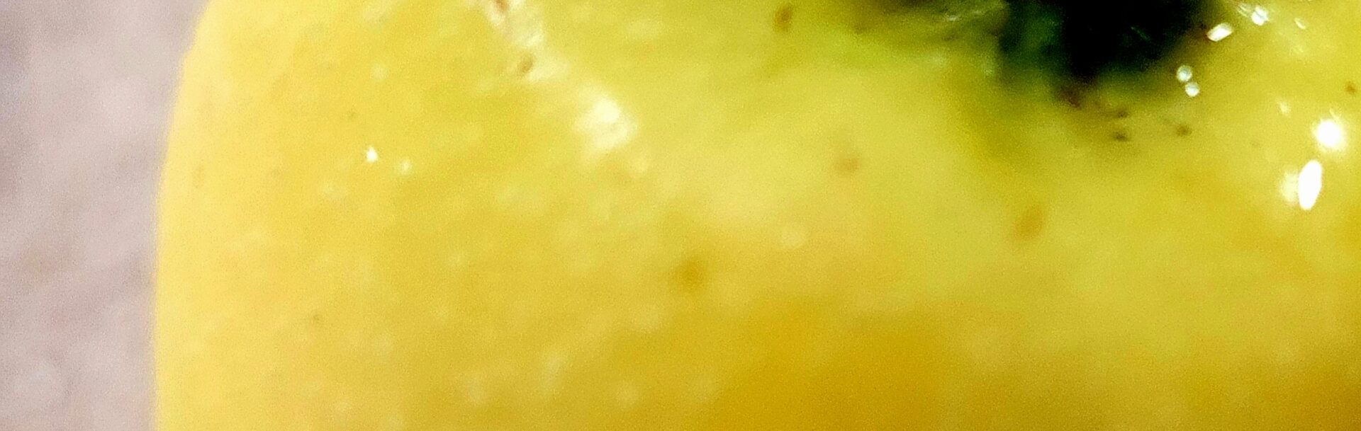 Lemonade Apple, photo 8-6-2026