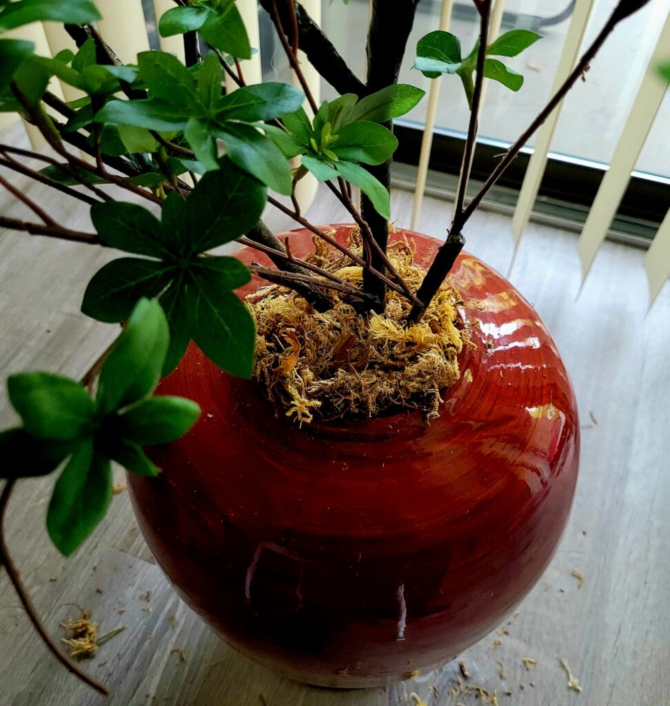 Ginger Jar Greenery