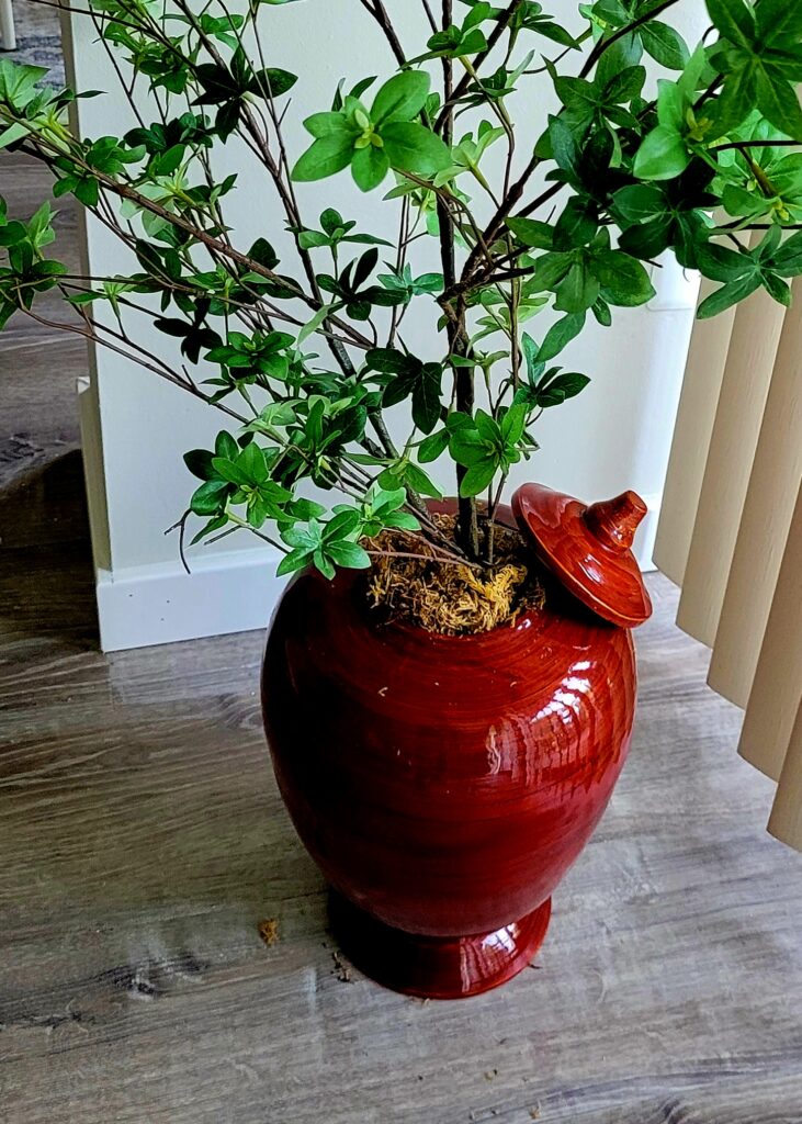 Ginger Jar Greenery