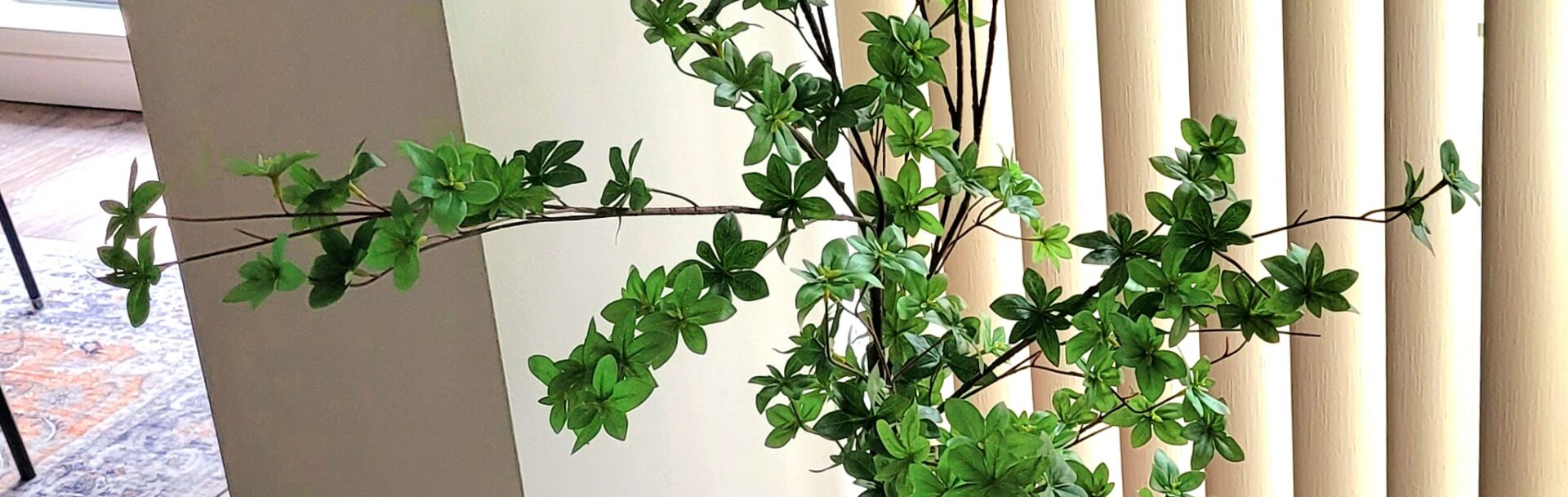 Ginger Jar Greenery
