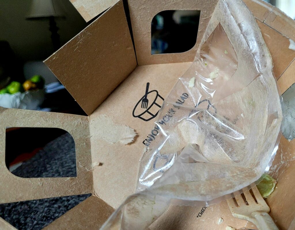 Salad Bowl Recycle Project