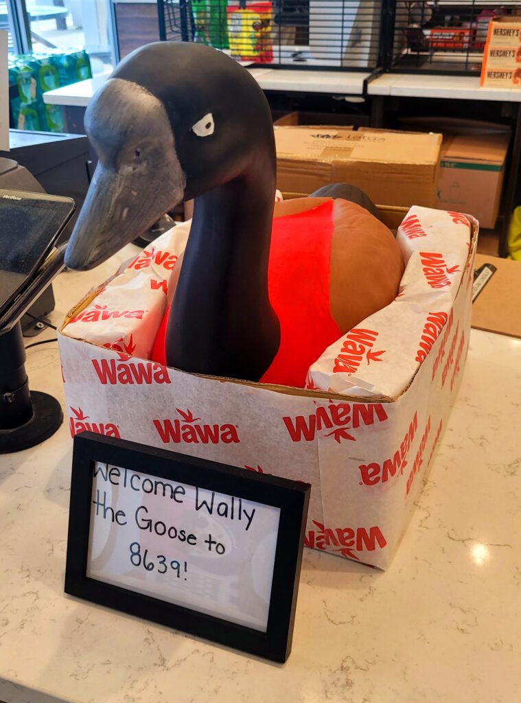 Wally the Goose, Wawa